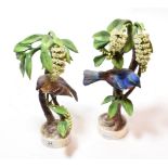 Two Royal Worcester models, Lazuli Bunting and Cock and Hen, by Dorothy Doughty each dated 1962 with