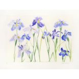 Dame Elizabeth Violet Blackadder DBE, RA, RSA (b.1931) Scottish ''Irises'' Signed and numbered 22/