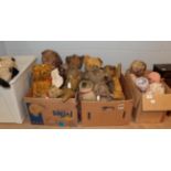 A quantity of assorted teddy bears and dolls (four boxes)