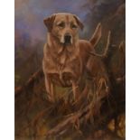 John Trickett (b.1953) Golden Labrador Signed, oil on canvas, 50cm by 40cm Artist's Resale Rights/