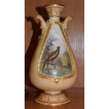 Royal Worcester blush ivory pedestal vase, the main panel decorated with a pheasant, signed Jas