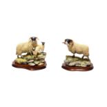 Border Fine Arts 'Blackie Tup', model No. B0354, limited edition 904/1750 and 'A Ewe and a Pair',