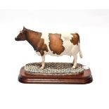 Border Fine Arts 'Ayrshire Cow' (Polled), model No. L74 by Elizabeth MacAllister, limited edition