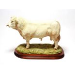 Border Fine Arts 'Charolais Bull' (Style Two), model No. B0587 by Jack Crewdson, limited edition