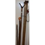 A group of antler and other handled wading staffs and walking sticks