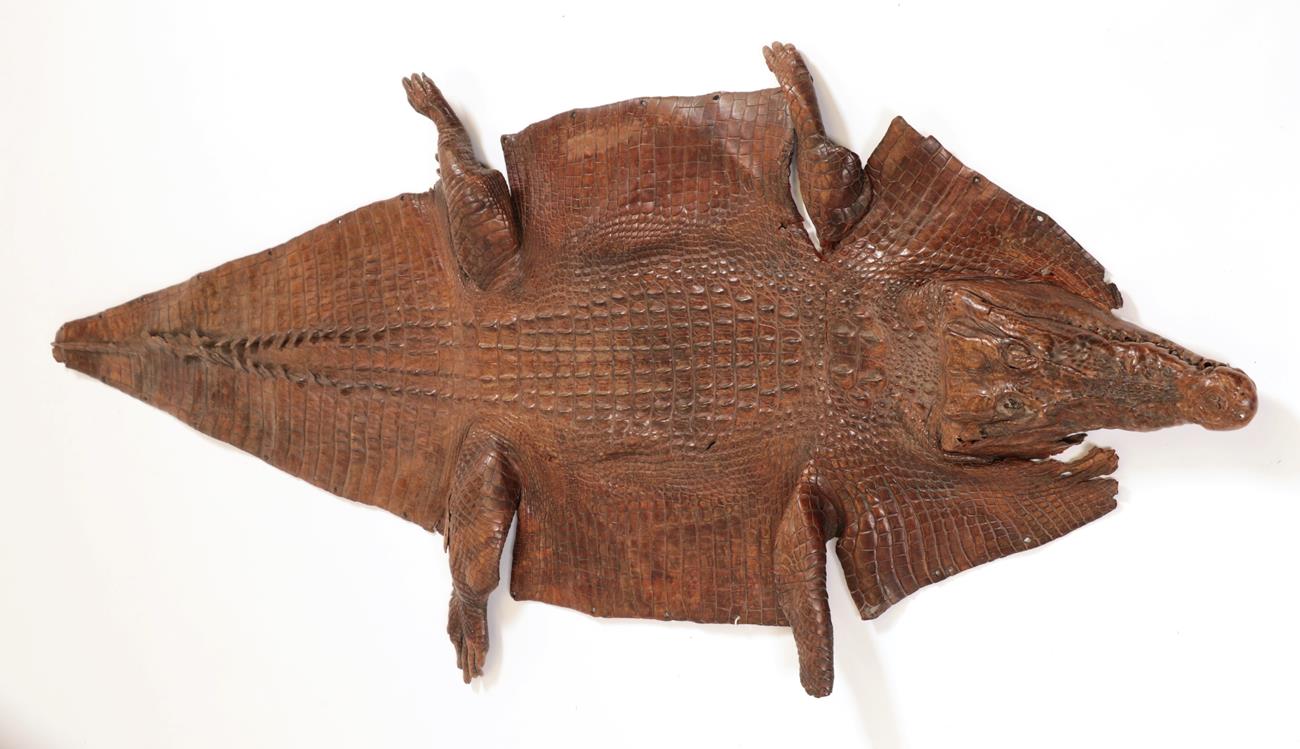 Taxidermy: A Late Victorian Crocodile Skin (Crocodylus niloticus), circa 1890-1900, a full flat skin - Image 2 of 3