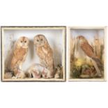 Taxidermy: A Victorian Cased Pair of Tawny Owls & Cased Common Kestrel, a pair of full mount adult