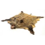 Taxidermy: A European Wild Boar Skin Rug (Sus scrofa), circa late 20th century, a high quality adult