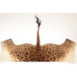 Hides/Skins: Southern Giraffe Flank Skin (Giraffa giraffa), modern, a partial flank skin with
