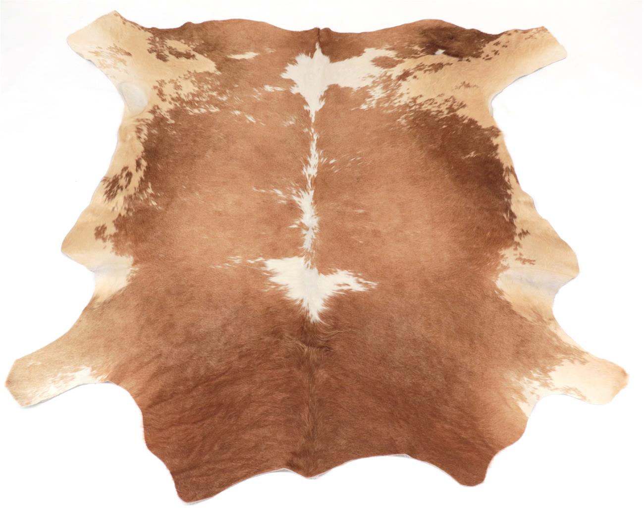 Skins/Hides: South African Nguni Cow Hide (Bos taurus), modern, AA Grade, excellent quality, Nguni