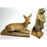 Taxidermy: Juvenile Alpine Marmot & Fallow Deer Fawn, circa late 20th century, a full mount juvenile