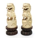 A Pair of Chinese Carved Ivory Dogs of Fo, 19th century, of traditional form, sitting on oval