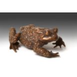 Sally Arnup FRBS, ARCA (1930-2015) Toad Signed and numbered II/X, bronze, 4cm high See