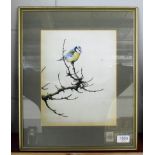 Alan M Hunt (B.1947) Study of a blue tit, signed and dated 1981, mixed media 28cm by 22cm