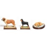 Border Fine Arts Dog Models Comprising: 'St. Bernard', model No. L65, limited edition 443/500,