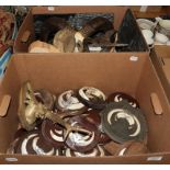 Antlers/Tusks: European Mouflon / European Wildboar, circa late 20th century, twenty five sets of