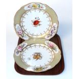 A pair of Chamberlains Worcester flower painted cabinet plates
