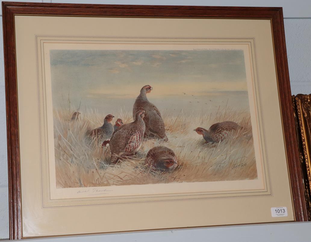 After Archibald Thorburn FZS (1860-1935) Covey of red legged partridge, signed in pencil, a colour