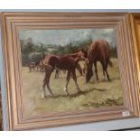 *Marriot (20th century) Study of mare and foal, signed, oil on board, 40cm by 50cm