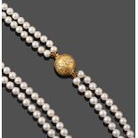 A Two Strand Cultured Pearl Necklace, the 91:97 uniform cultured pearls knotted to a yellow