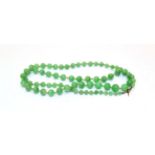 A graduated jade necklace, length 56cm . Gross weight 30.4 grams