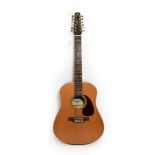 Seagull Coastliner S12 Cedar Acoustic Guitar no.029358002029, rosewood fingerboard and bridge, solid