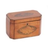 A George III Satinwood and Marquetry Tea Caddy, of canted rectangular form decorated with shell