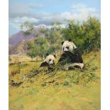 John Seerey-Lester (b.1946) American Giant Pandas eating Bamboo Signed, oil on canvas, 61.5cm by