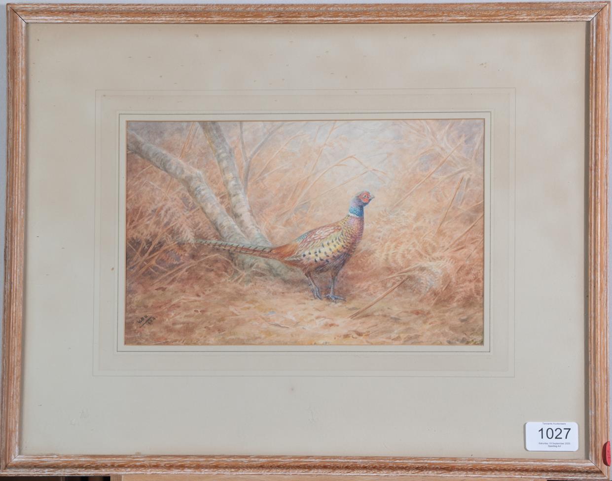 Vincent Balfour-Browne (1880-1963) Pheasant Partridge and young Signed and dated 1954, - Image 2 of 5