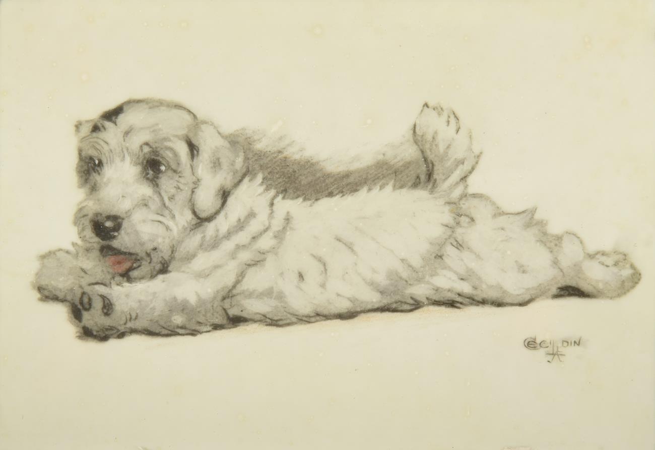 Cecil Charles Windsor Aldin (1870-1935) Study of a terrier puppy Signed, pencil and watercolour on