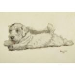 Cecil Charles Windsor Aldin (1870-1935) Study of a terrier puppy Signed, pencil and watercolour on