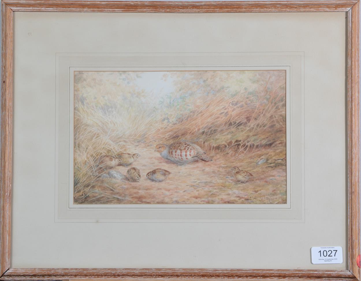 Vincent Balfour-Browne (1880-1963) Pheasant Partridge and young Signed and dated 1954, - Image 4 of 5