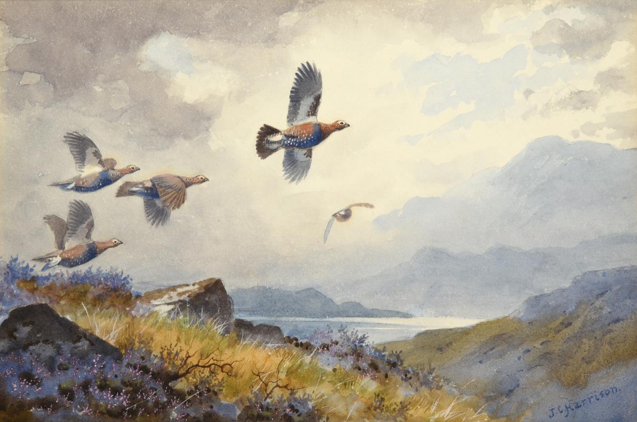 John Cyril Harrison (1898-1985) Covey of Grouse in flight Signed, watercolour, 16.5cm by 24cm See