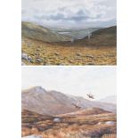 Owen Williams (b. 1956) Red Grouse in Flight Signed and dated (19)97, watercolour, together with a