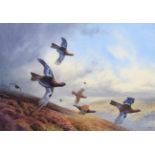 Peter Allis (b.1944) Covey of Grouse in flight Signed, gouache, 36cm by 52.5cm Artist's Resale