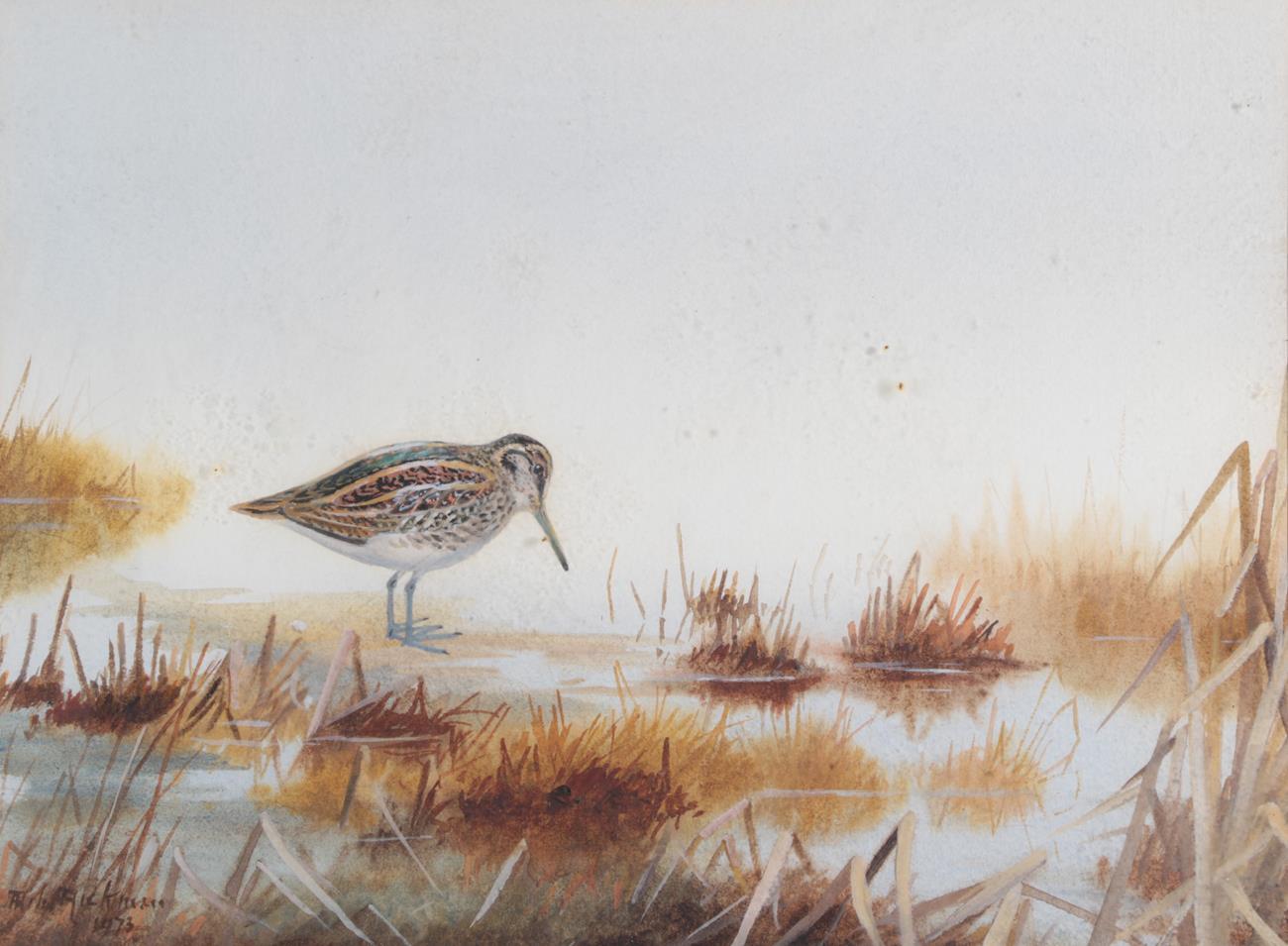 Philip Rickman (1891-1982) ''Jack Snipe'' Signed and dated 1973, watercolour, 28cm by 37.5cm