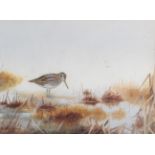 Philip Rickman (1891-1982) ''Jack Snipe'' Signed and dated 1973, watercolour, 28cm by 37.5cm