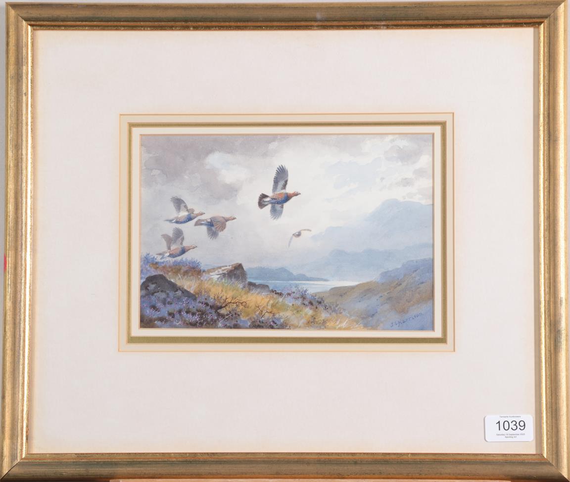 John Cyril Harrison (1898-1985) Covey of Grouse in flight Signed, watercolour, 16.5cm by 24cm See - Image 2 of 3