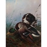 Colin Graeme Roe (1858-1910) Spaniel retrieving a duck. signed, Oil on canvas, 60cm by 44.5cm