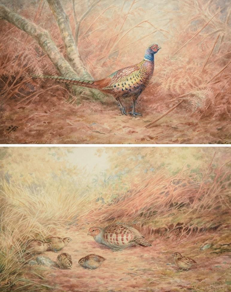 Vincent Balfour-Browne (1880-1963) Pheasant Partridge and young Signed and dated 1954,