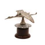 A 1920's Chrome on Brass Hispano Suiza Style Flying Stork Car Mascot, mounted on a radiator cap