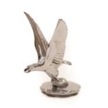 A 1920's Chrome on Brass Car Mascot as a Desmo Eagle, mounted on a threaded radiator cap, 15cm high