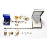A 9 carat gold amber pendant on a 9 carat gold chain, pendant length 4.4cm, length 52.5cm; a