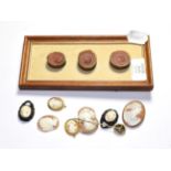 Six assorted shell cameos, 19th century, Classical maidens, with other similar items (qty)