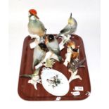 A group of Karl Ens porcelain bird models etc