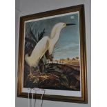 A set of three framed prints of Herons, together with a large ebonised print of a great blue