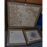 Three framed maps of York and Yorkshire (3)