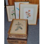 * A collection of 19th and 20th century botanical prints, framed and glazed (qty)