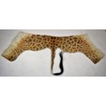 Hides/Skins: Southern Giraffe Flank Skin (Giraffa camelopardalis), circa 2018, a partial flank