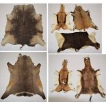 Hides/Skins: A Quantity of African Game Trophy Hides, circa late 20th century, comprising - three